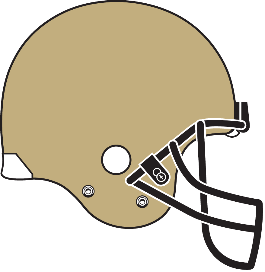 Colorado Buffaloes 1979-1980 Helmet diy iron on heat transfer